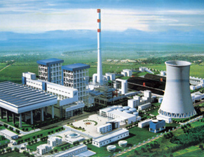 �糧�������