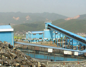 ѡ��������